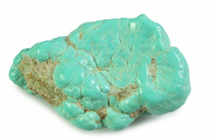 Polished Chilean Turquoise ( grams) Nugget #358852